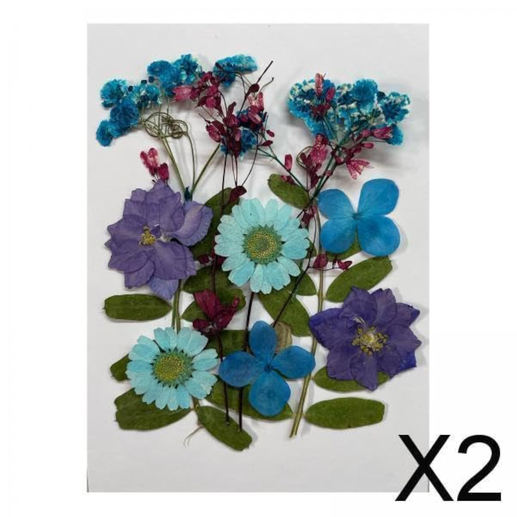 Dried Flowers Crafts Multipurpose for Table Decorations
